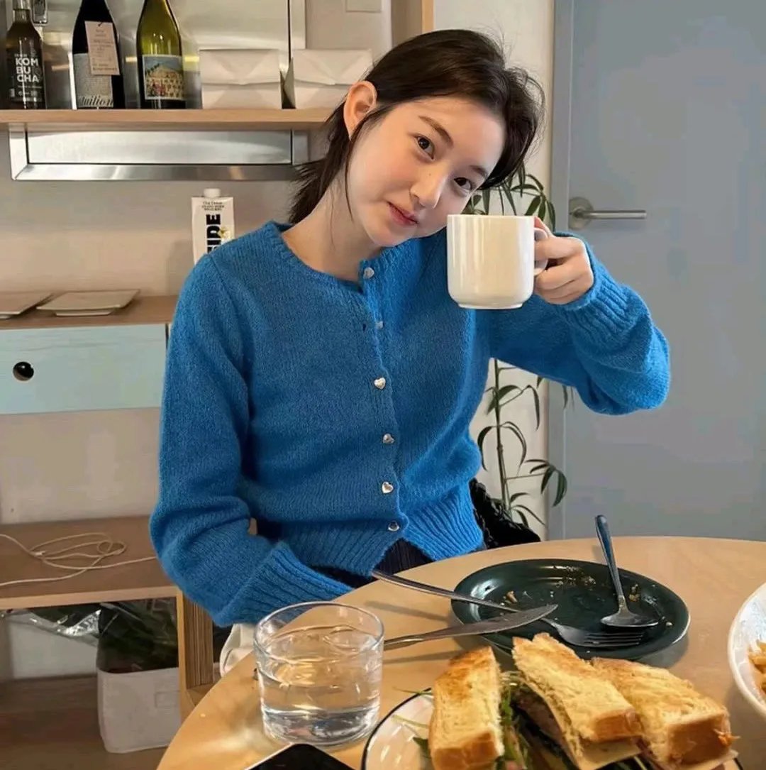 丹麦之子